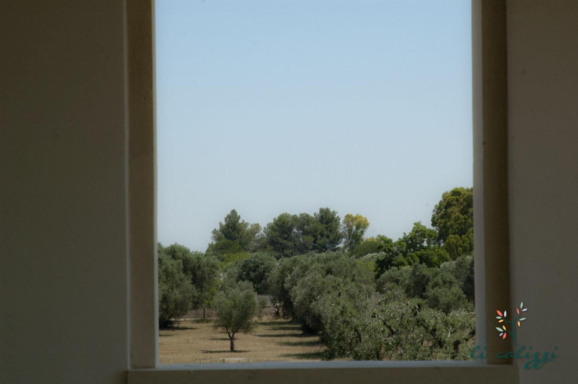 Agriturismo Li Calizzi Arte E Natura Novoli الغرفة الصورة